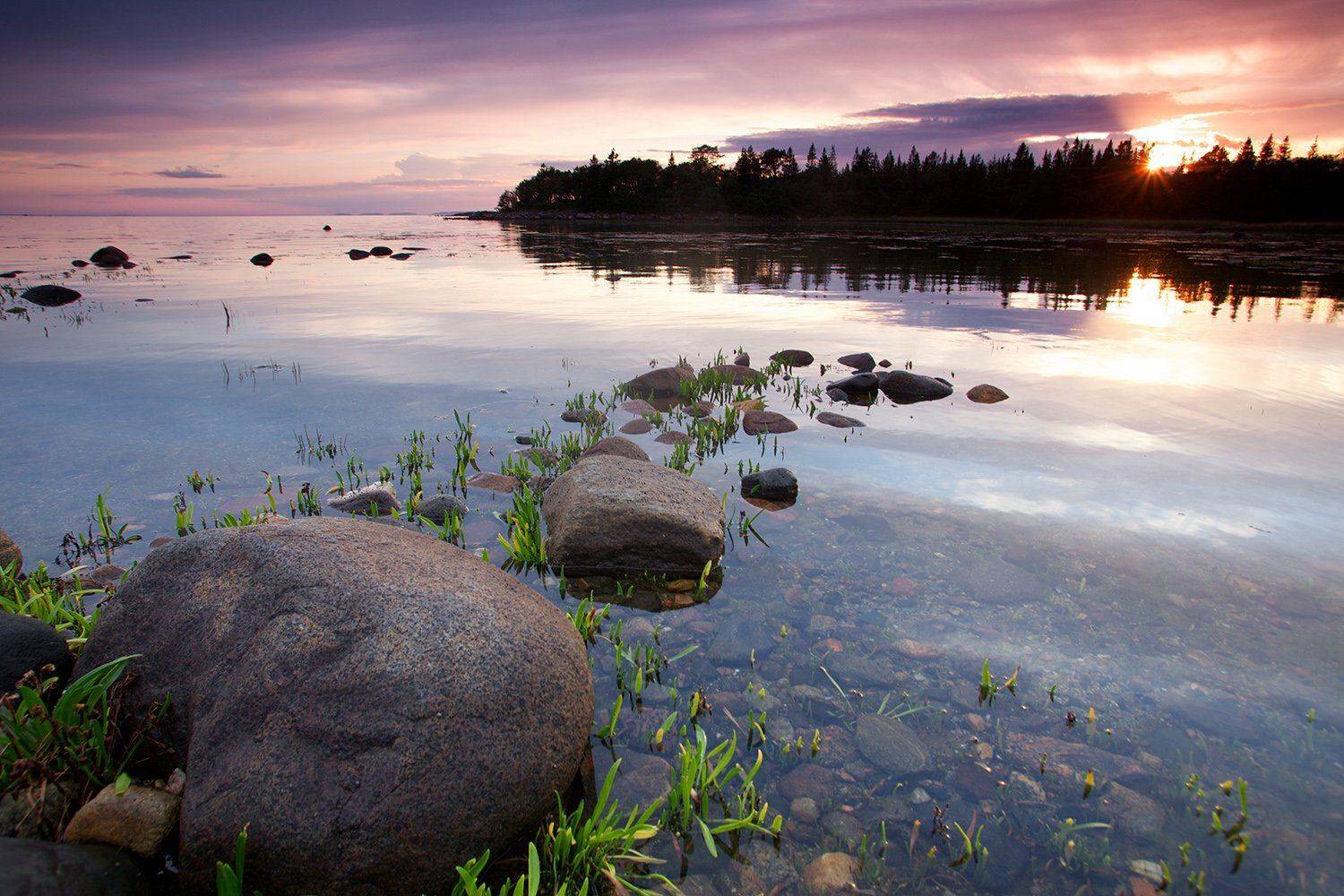 Белое море, Закат, Море, Соловецкий архипелаг, Никифоров Егор
