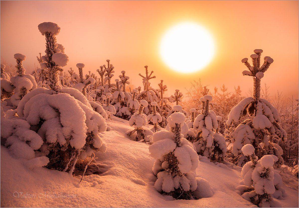 , Valtteri Mulkahainen