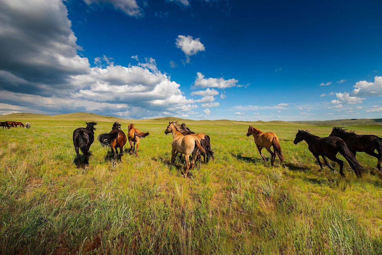 , Орлов Михаил