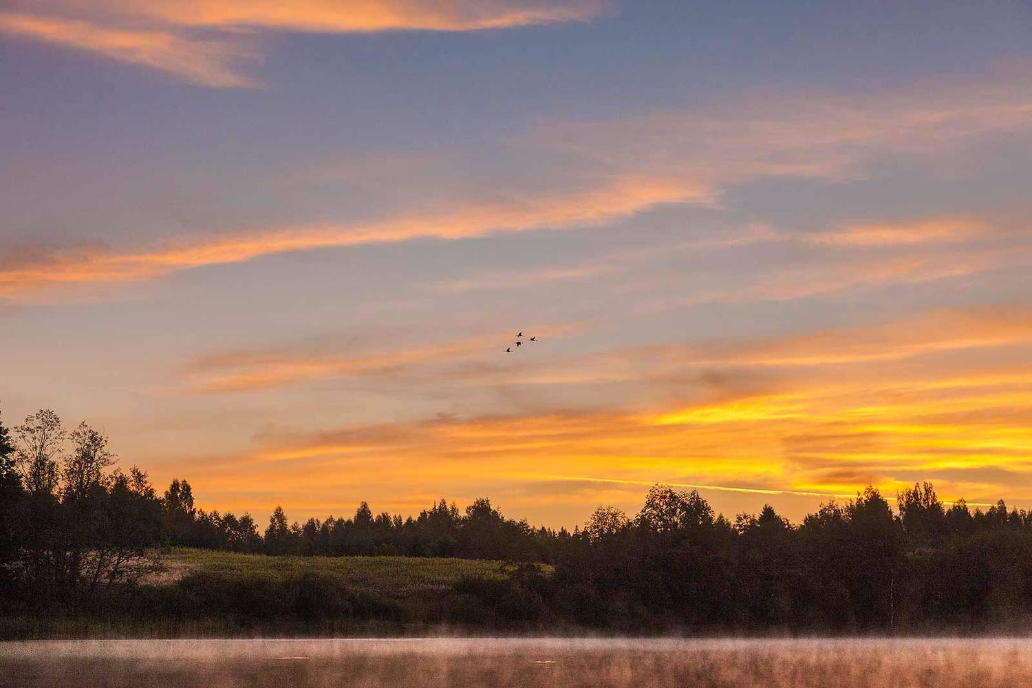 , Напалкин Станислав