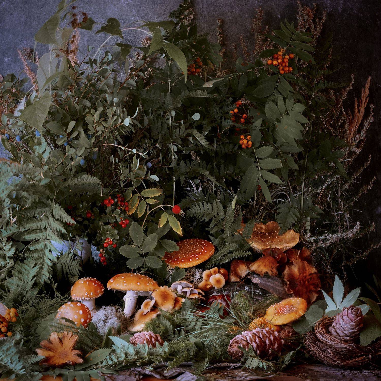 , Виктория Шаманова