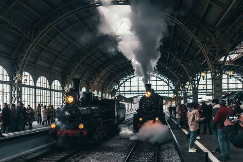 Steam life