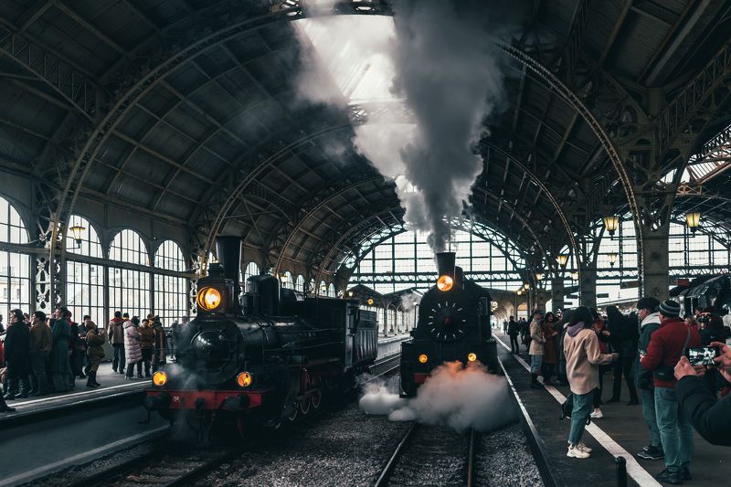 Steam life фото превью