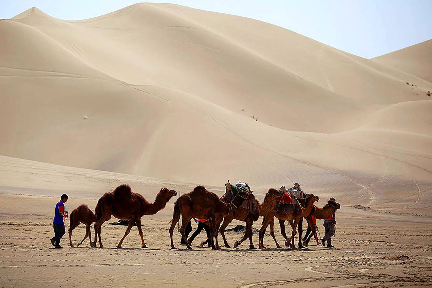 , mehdi karimi souderjani