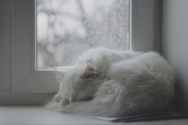 гелиос44м4 Вот и осень.. фото превью