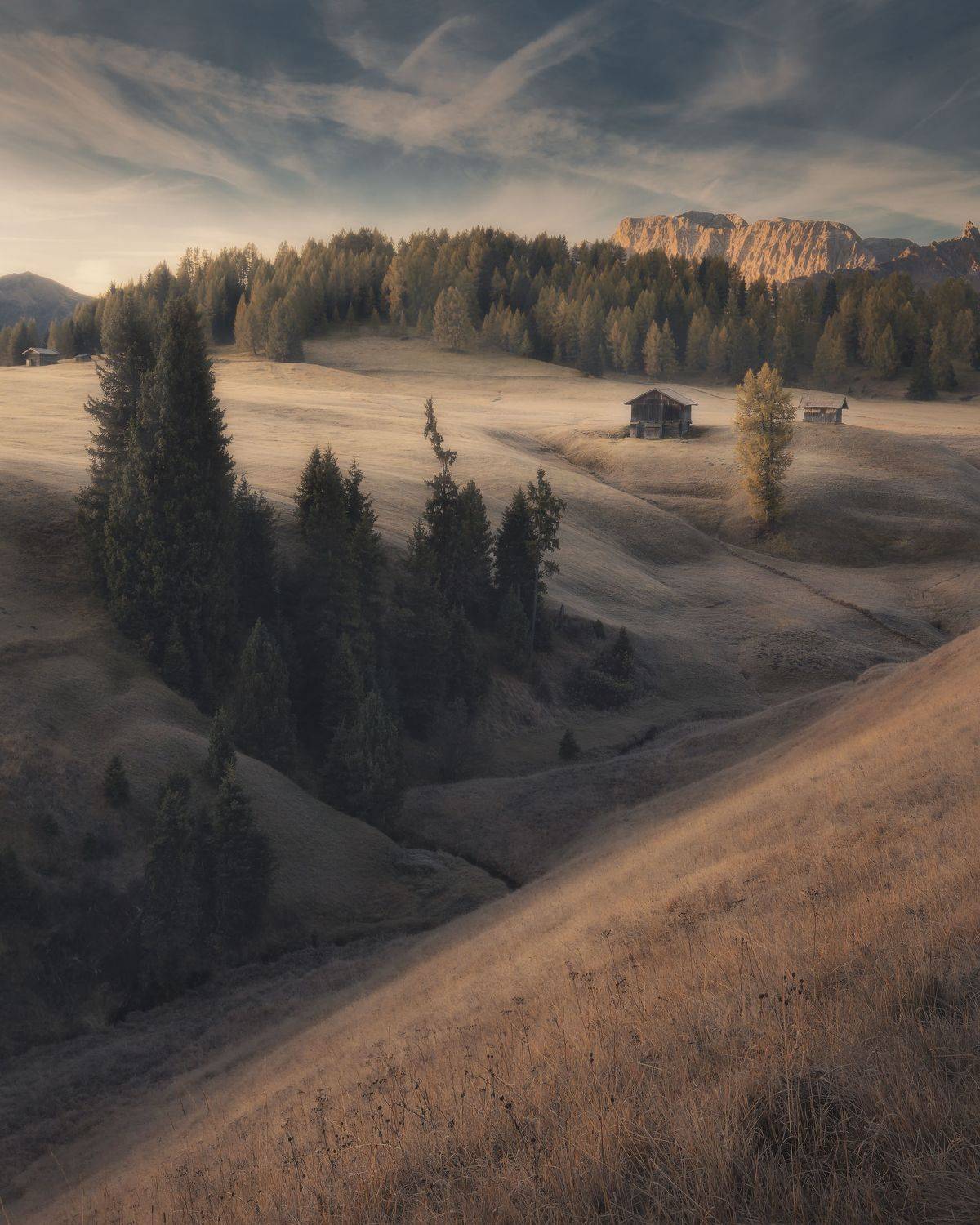 , Thomas de Franzoni