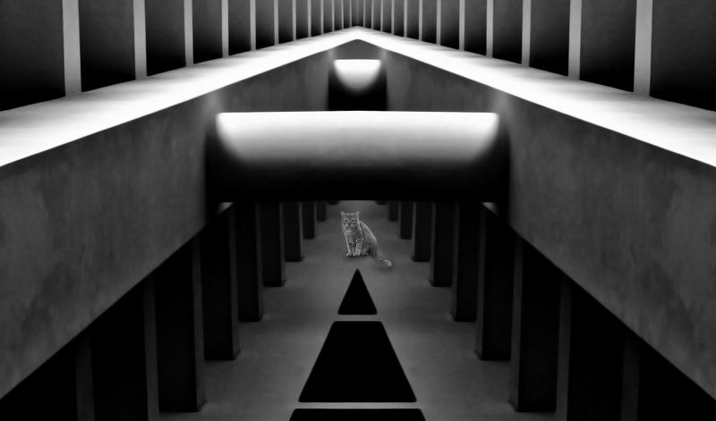 Meet somebody\'s gaze фото превью