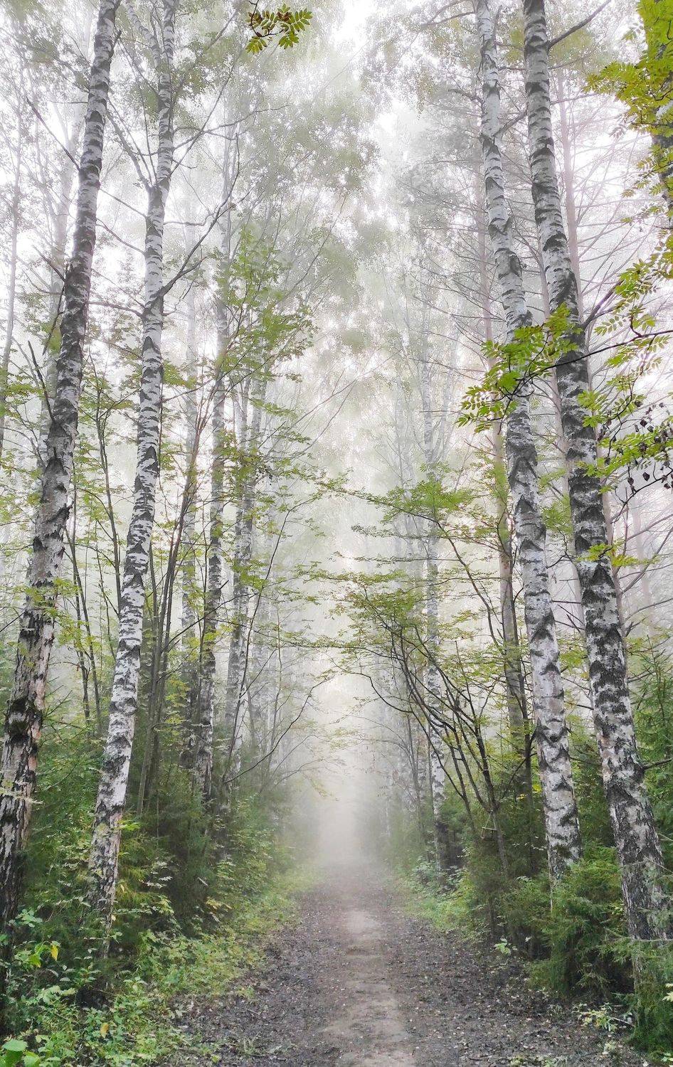 , Андрей Перешеин