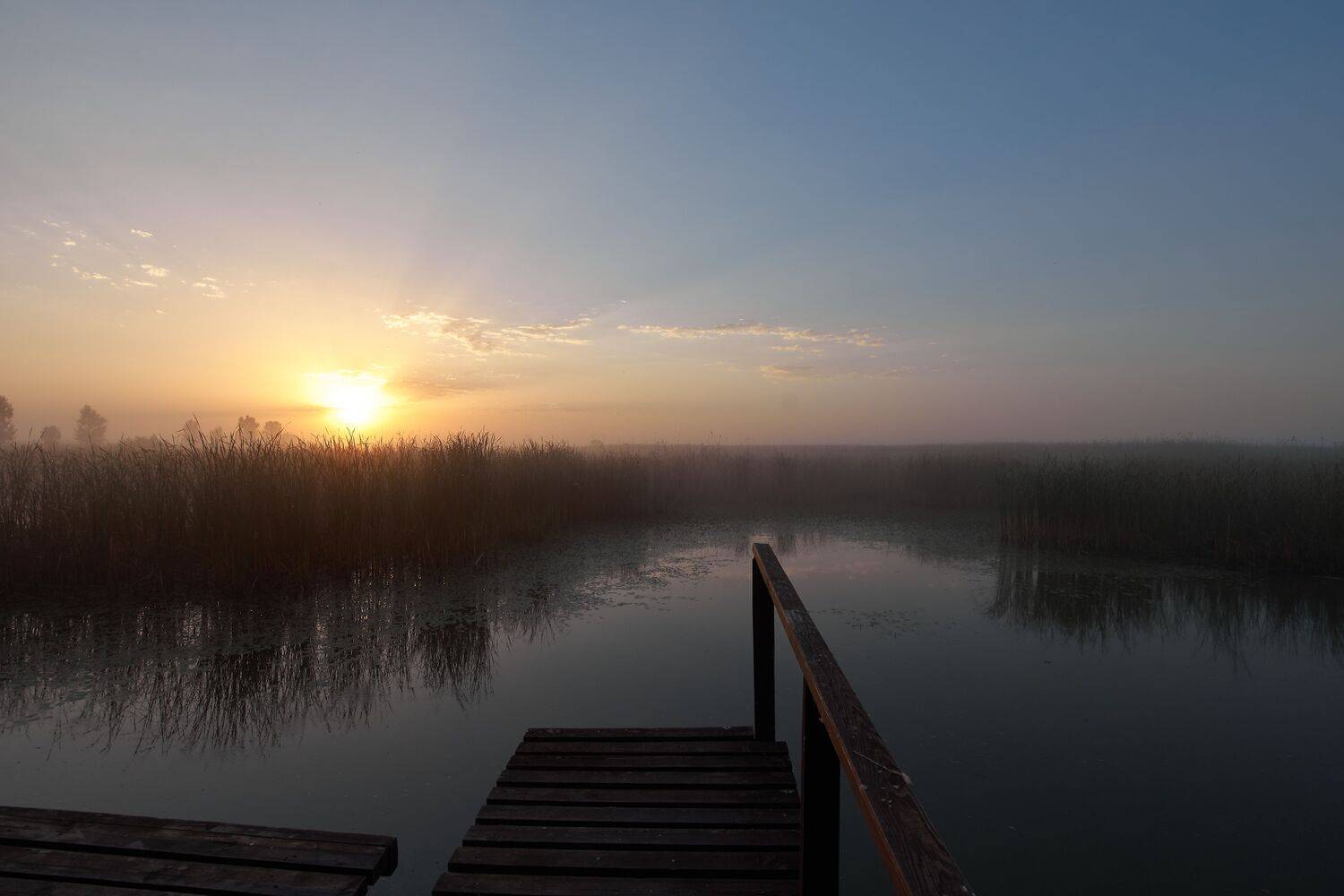 smoke, moning, astrakhan,russia, wildlife, , Сторчилов Павел