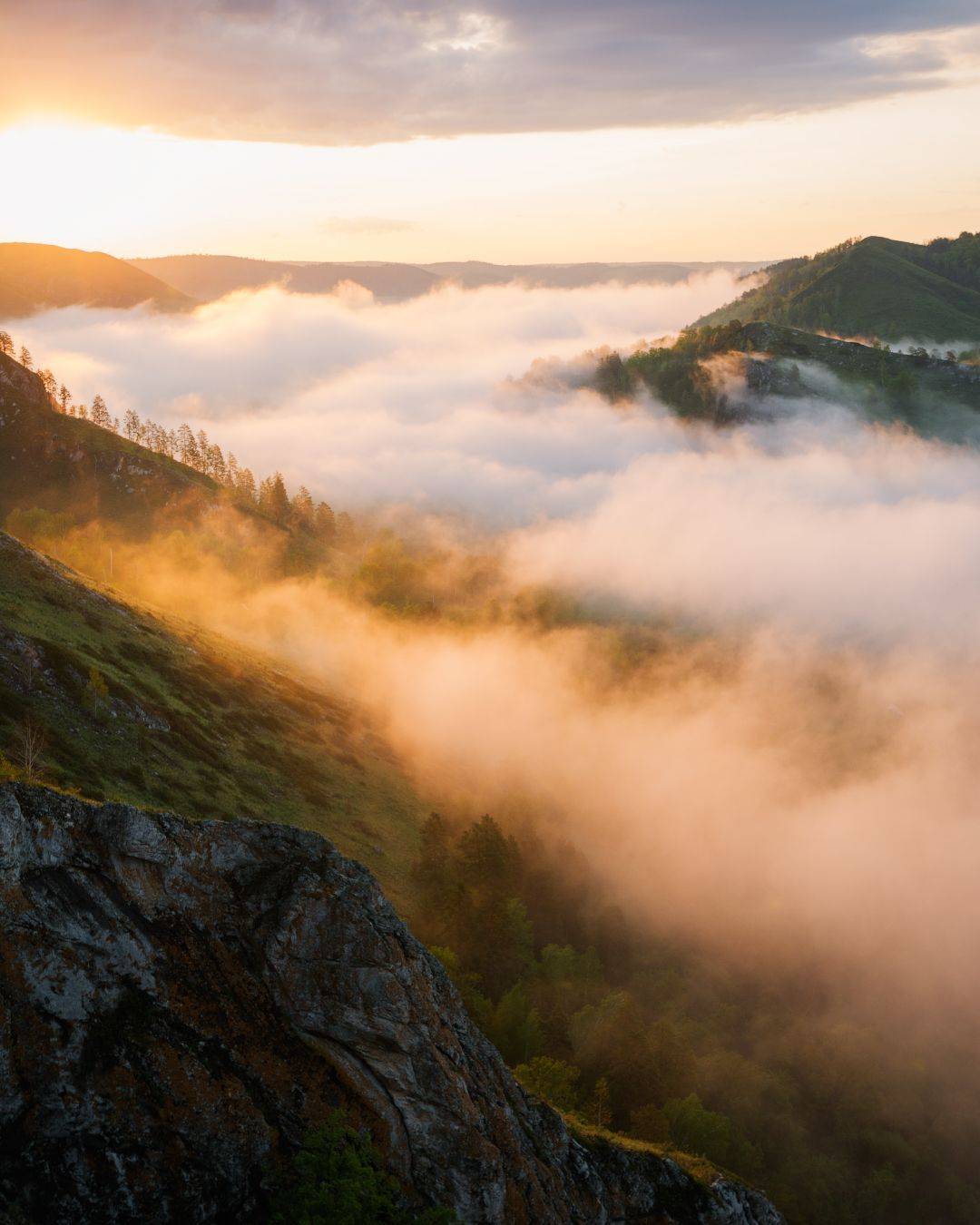 , Алексей Проняхин