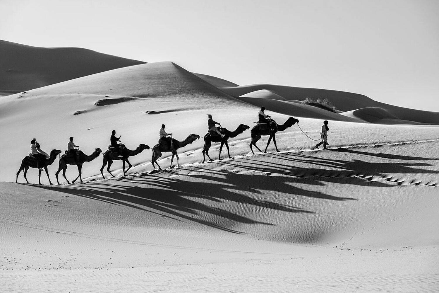 landscape nature scenery spring desert sahara black&white bw sand berber bedouin sunrise evening пейзаж рассвет пустыня, Александър Александров