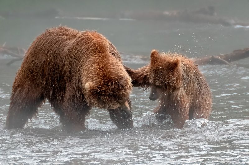 С мамой фото превью