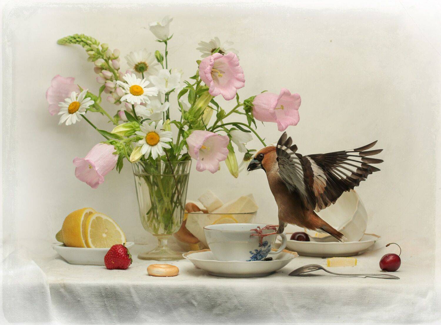 дубонос, Хромушин Олег