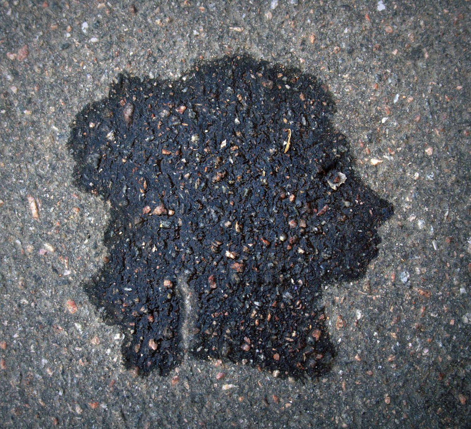 pareidolia, ПОЛУЕВ ИЛЬЯ