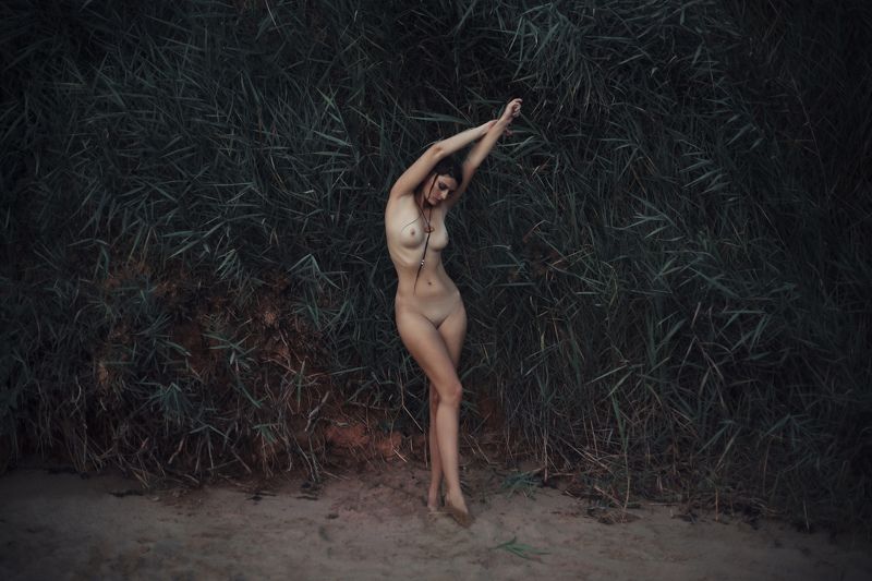 женский портрет, ню, жанровый портрет Wild фото превью