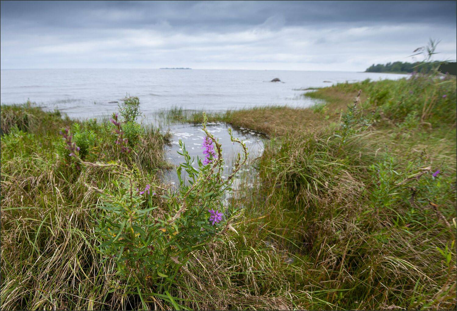 ладога, Георгий Сапожников