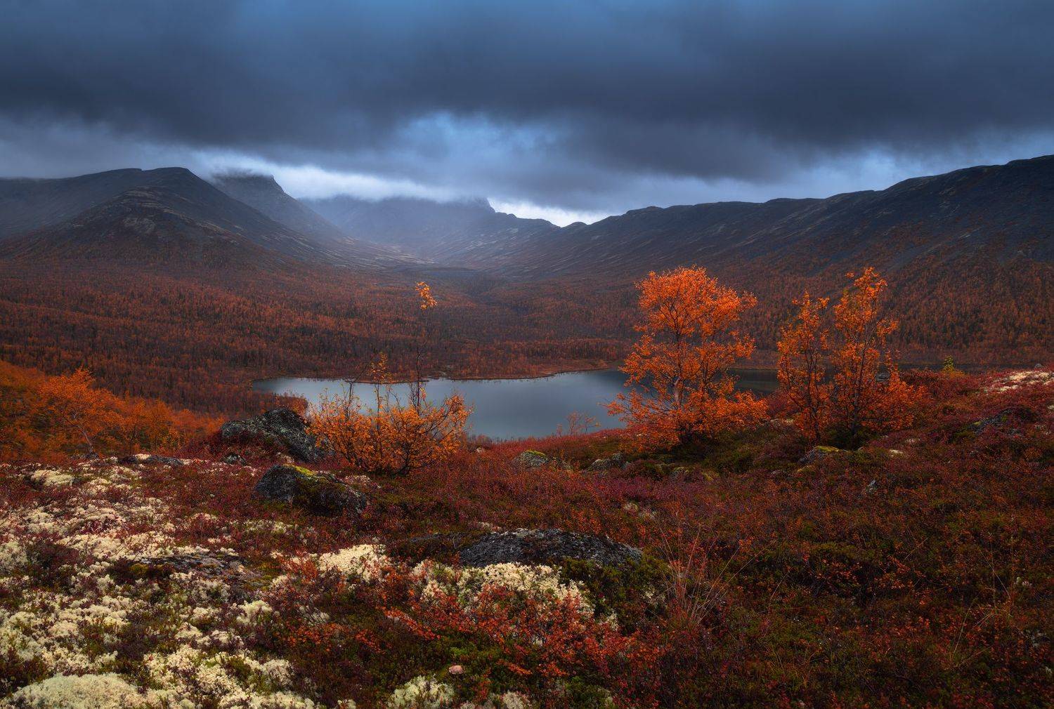 , Виталий Истомин