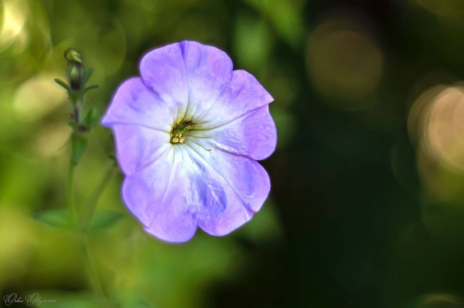 , Орлов Олег