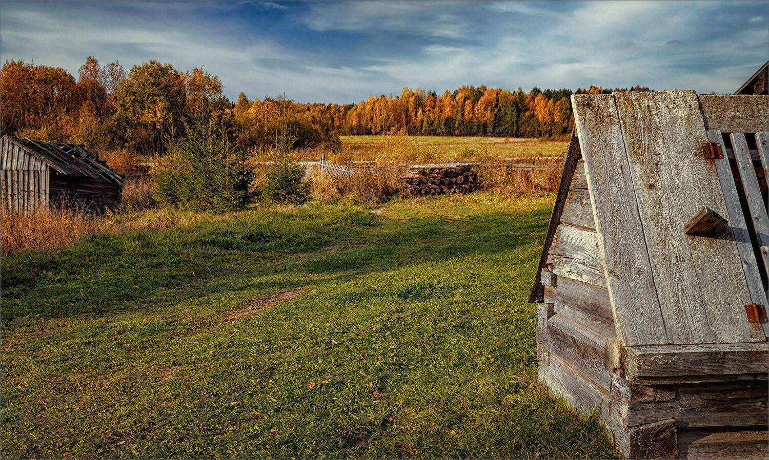 пейзаж, деревня, осень, свет, цвет, александр никитинский, Никитинский Александр