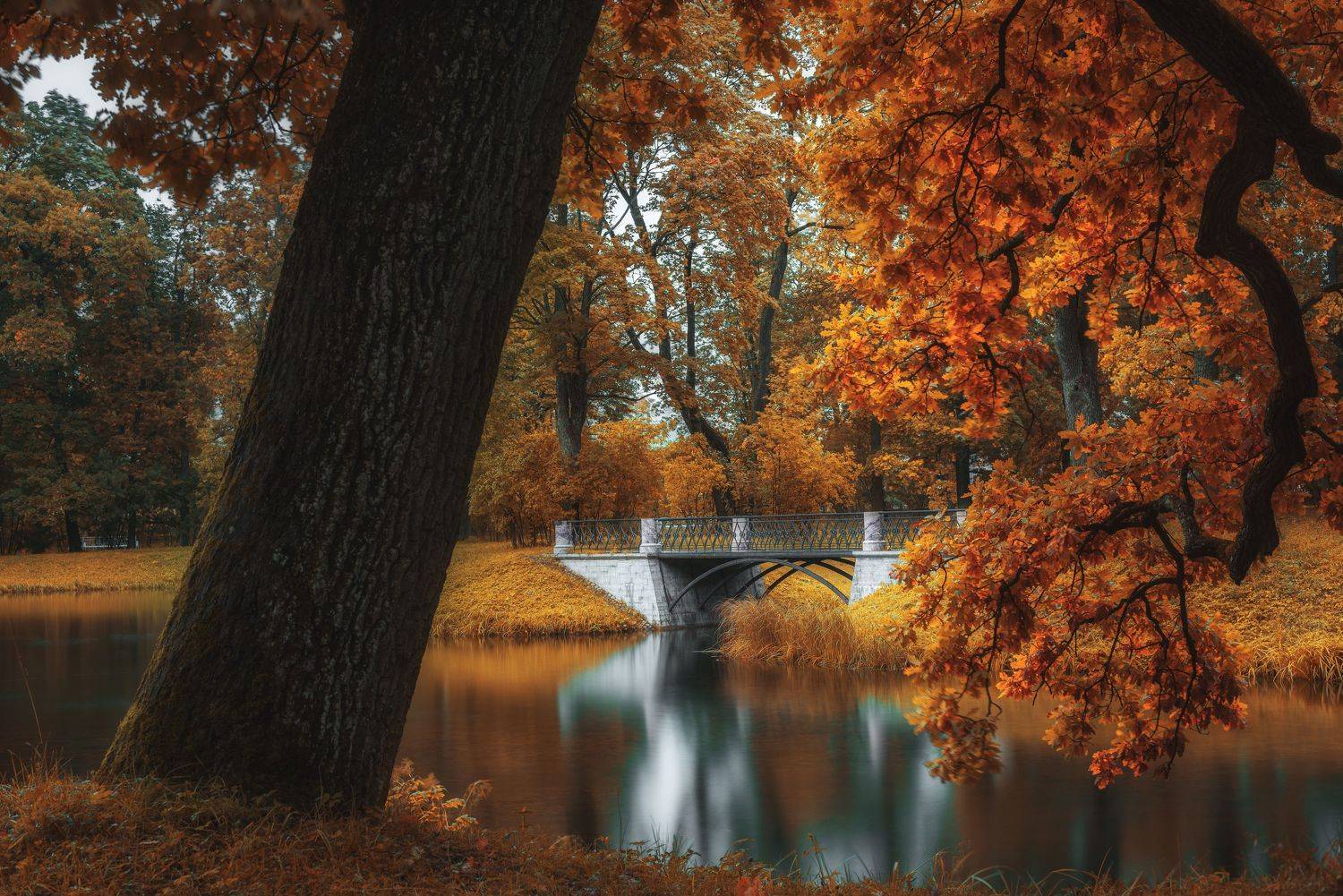 , Максим Вышарь