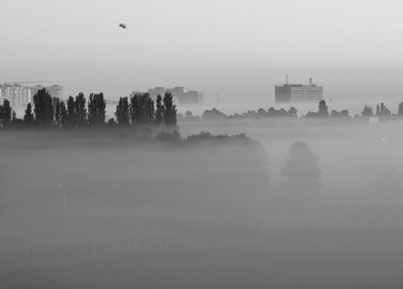 город, туман, чб Город плывёт фото превью