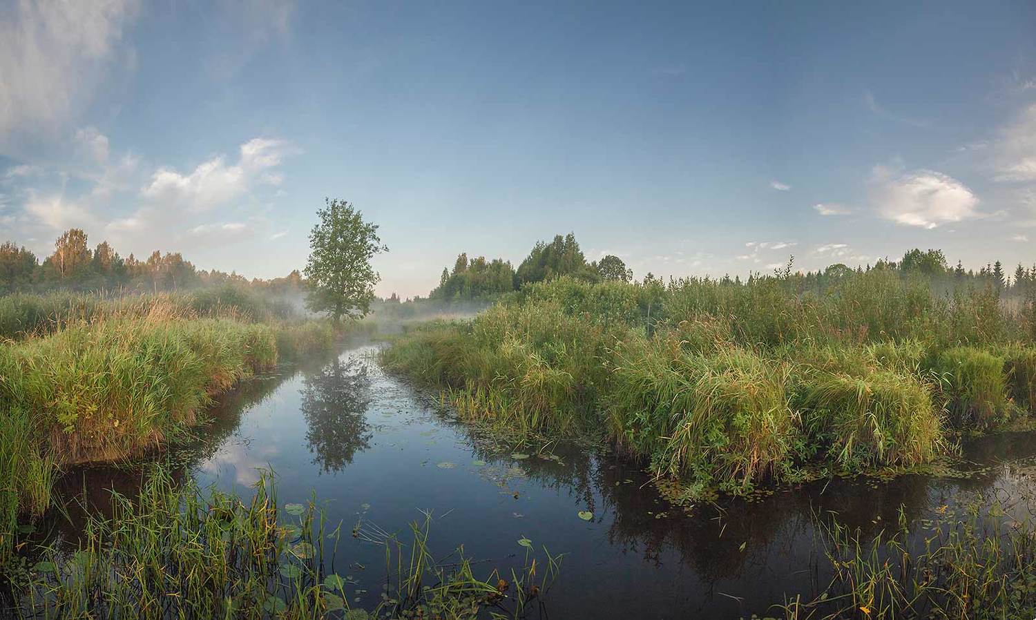 , Напалкин Станислав