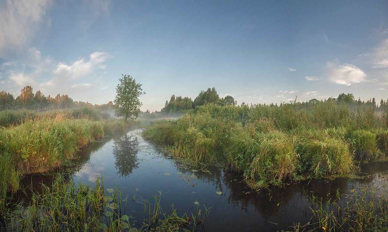 Панорама утренней реки фото превью