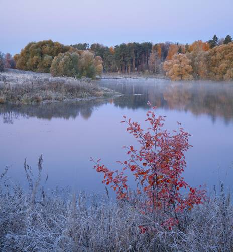 Перед рассветом