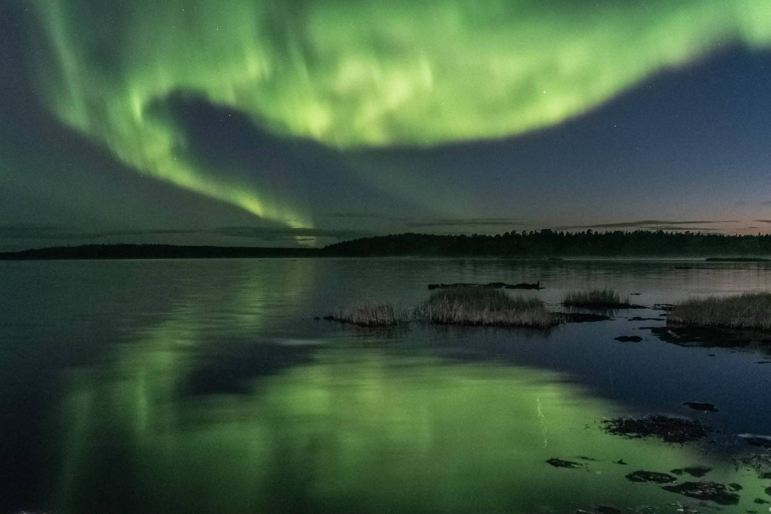 , Сергей Каверин