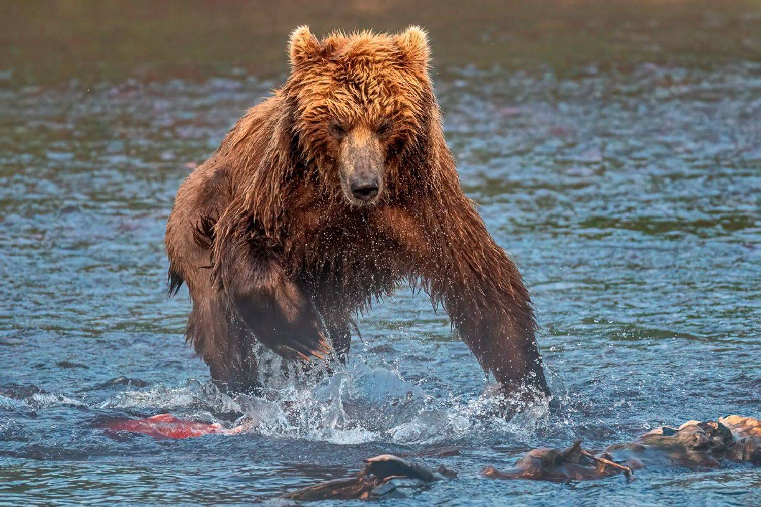 , Юрий Гордонов