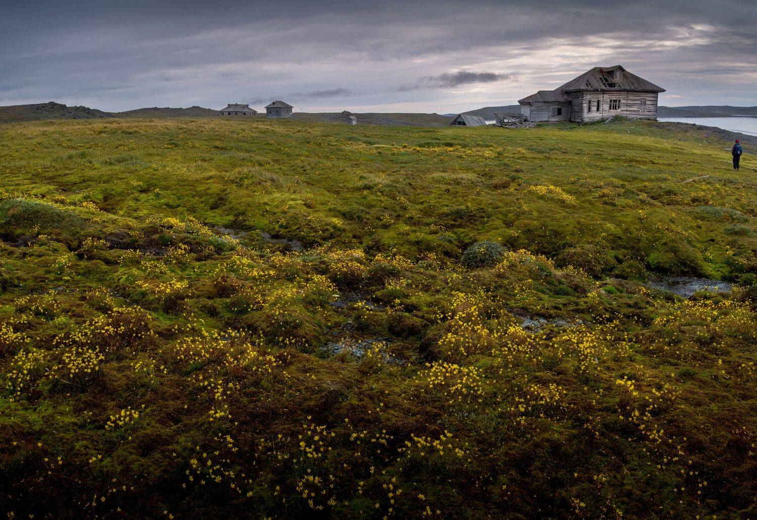 архипелаг новая земля, нд, тундра, север, русский север, новая земля, поселок русанова, русский север нд, Nadezhda Demkina