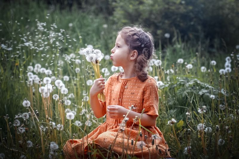 дети, лето, одуванчик, игры полет одуванчиков фото превью