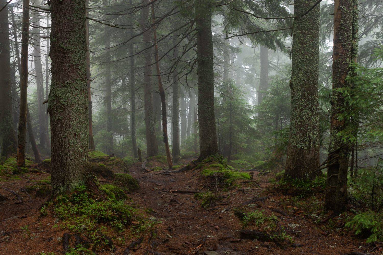 , Taurtirith Photography