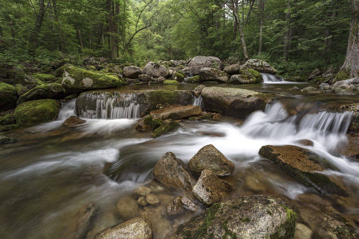 река, тайга, камни, ALEKSANDR KUZNETSOV