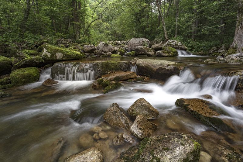 река, тайга, камни  фото превью