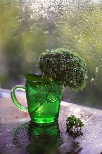 Сияние лета