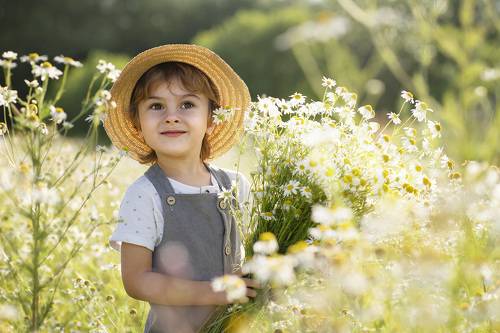 на ромашковом поле
