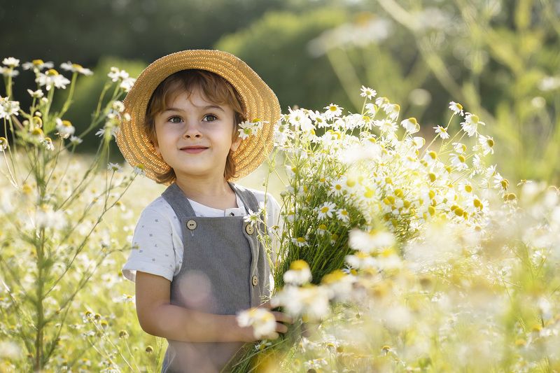 дети,лето,ромашки на ромашковом поле фото превью