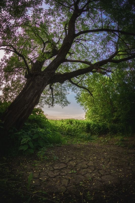 Тайна вечности времени фото превью
