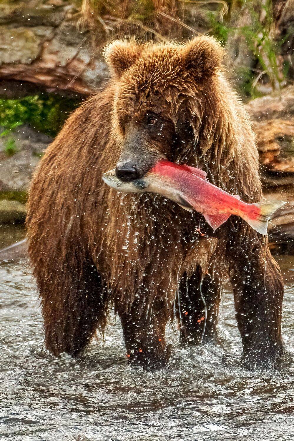 , Юрий Гордонов