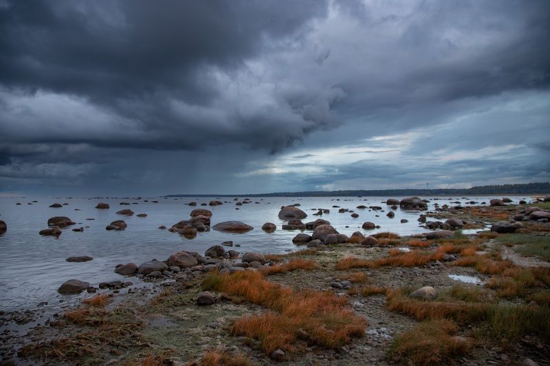 Хмурый Финский залив фото превью