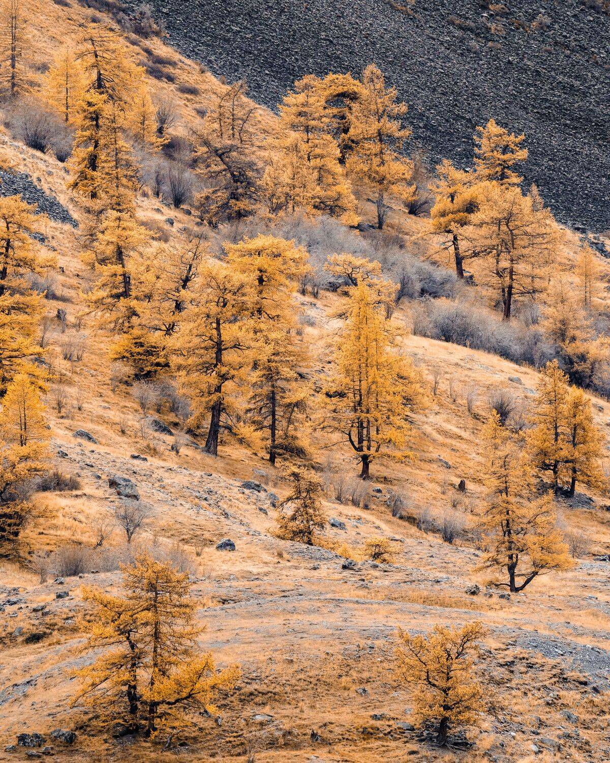 , Важенин Евгений