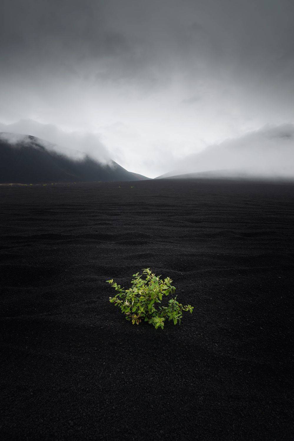 , Козаченко Алексей