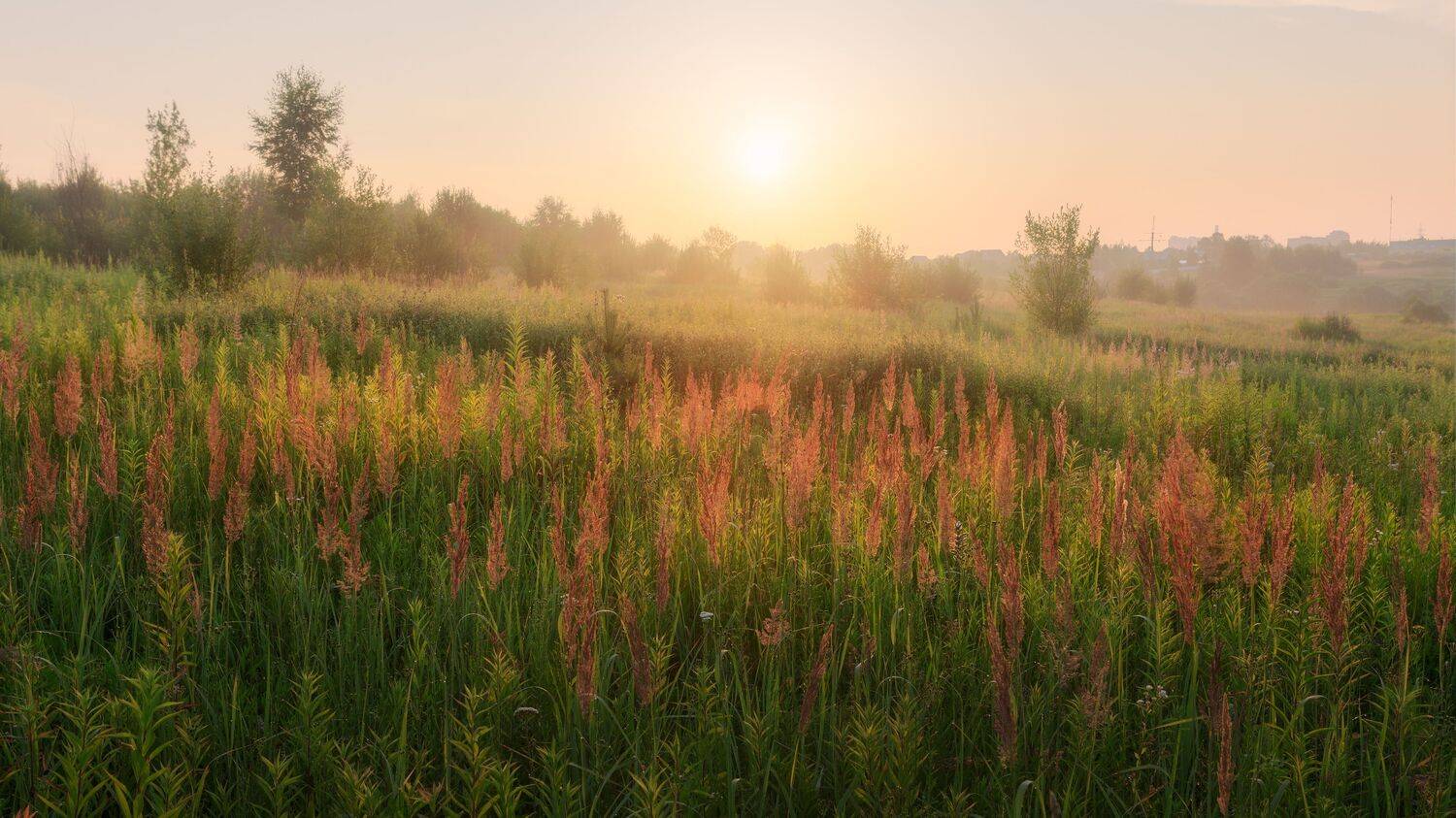 пейзаж, Россия, Московская область, природа, рассвет, природа, Мартыненко Дмитрий