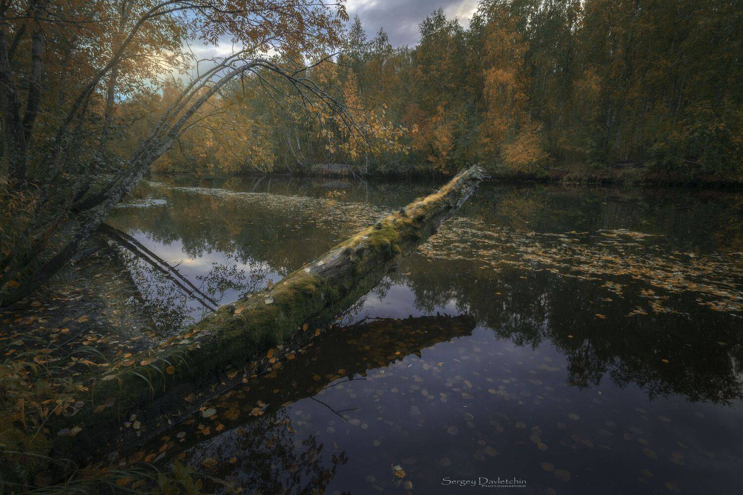 , Сергей Давлетшин
