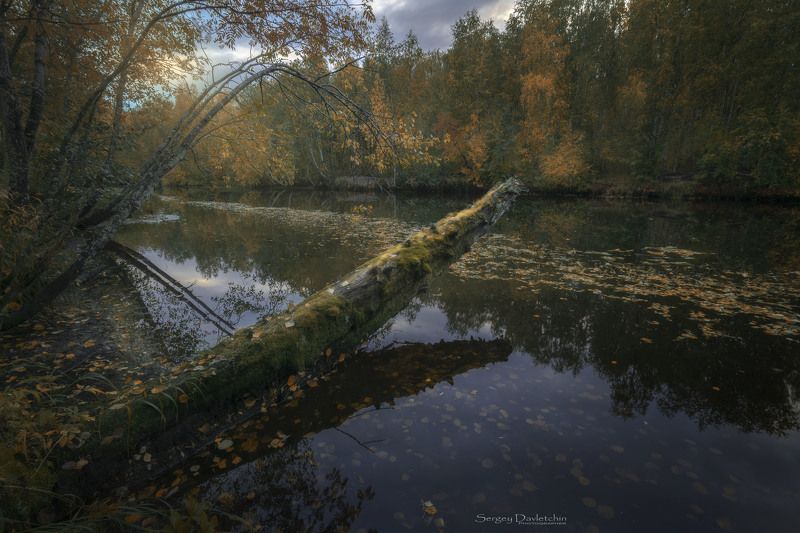 Осень фото превью