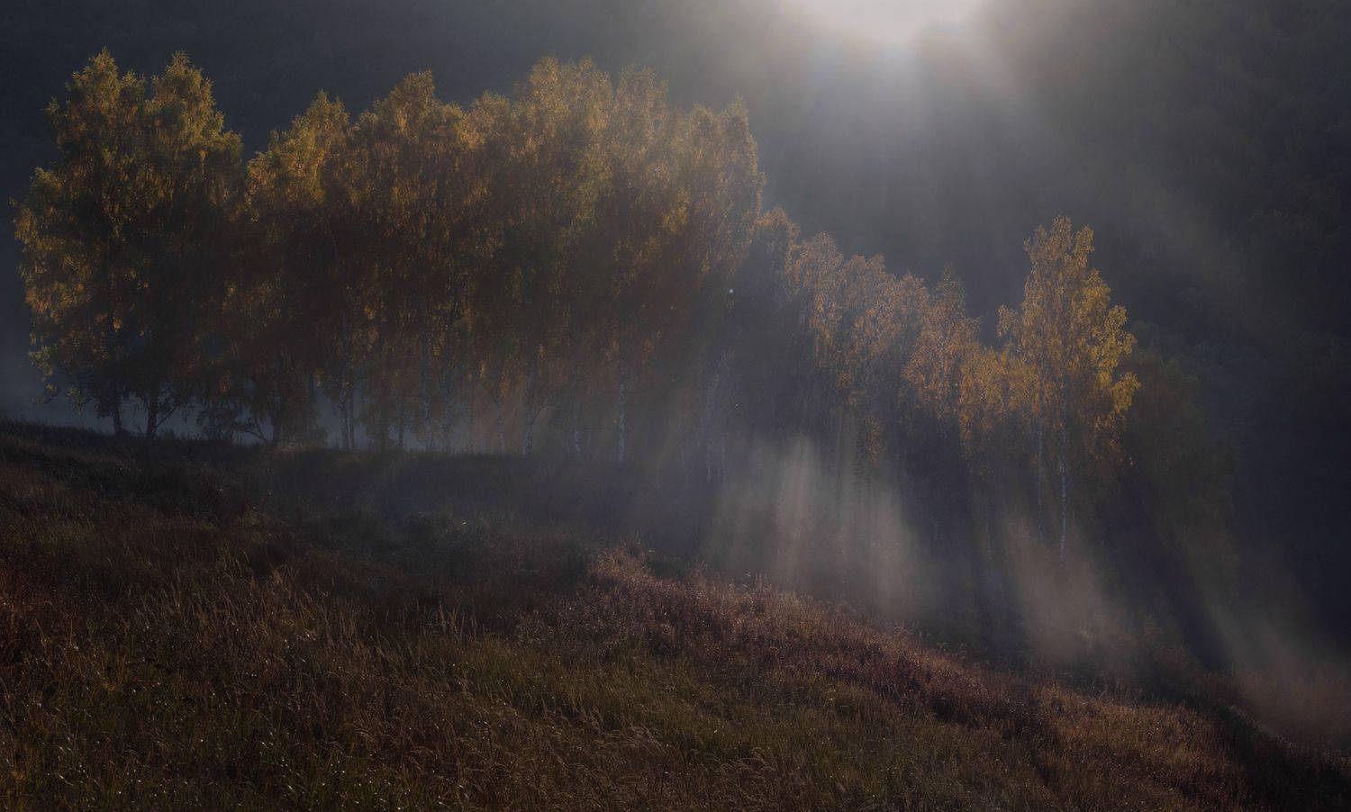 , Баранов Олег