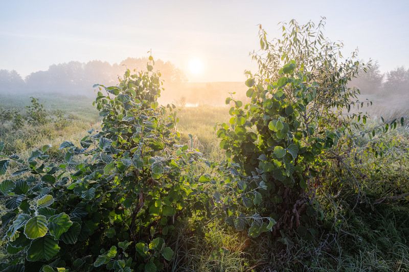 лучи по сентябрьскому морозу фото превью