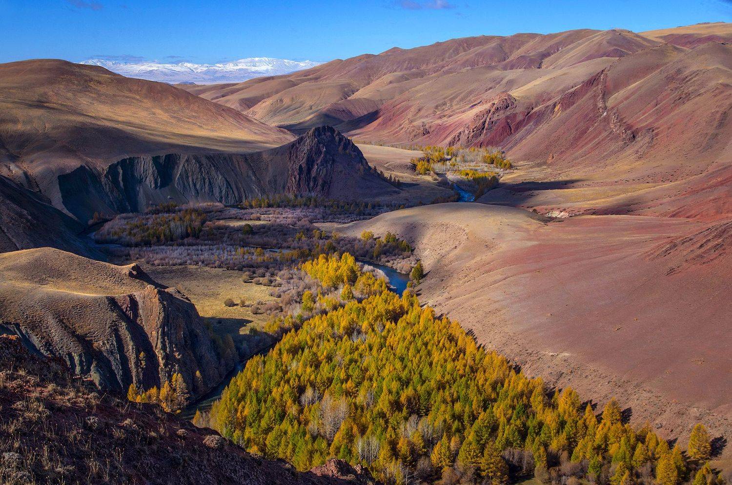 алтай, горы, утро, рассвет, красный, река, вода, ущелье, кызыл-шин, кокоря, Валерий Чичкин