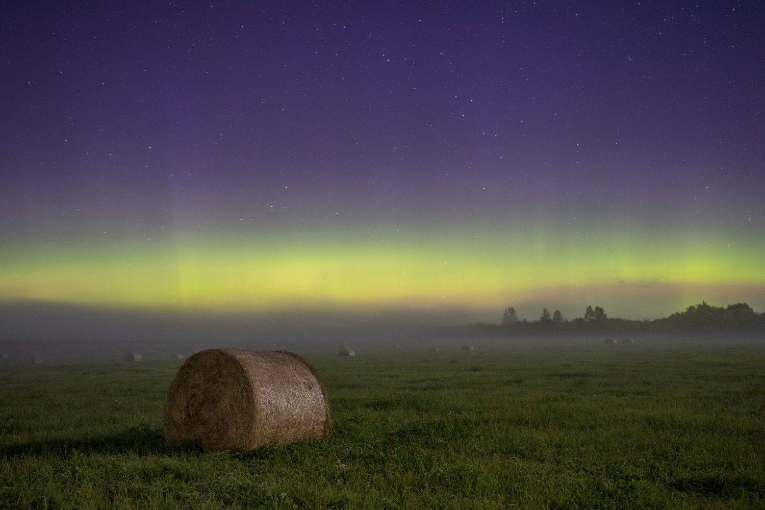 ночь туман сияние сено, Сергей Буторин